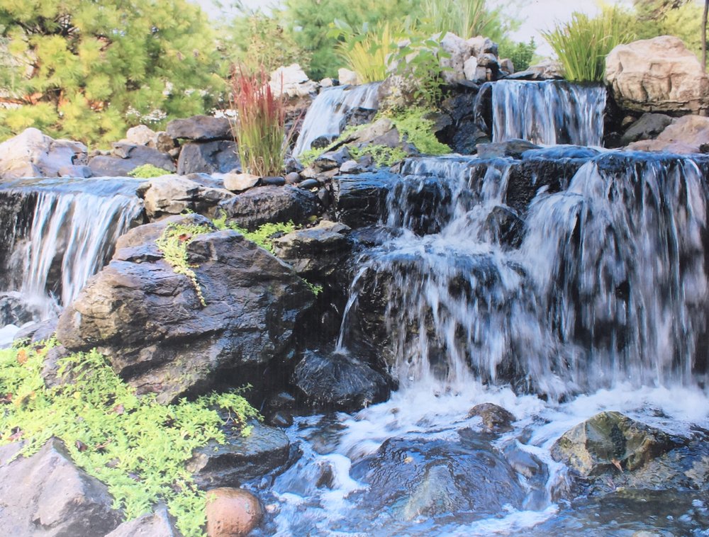 image of business Pond Paradise Designs