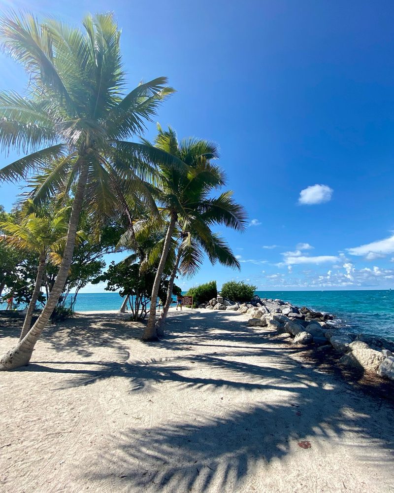Palm Paradise Moving