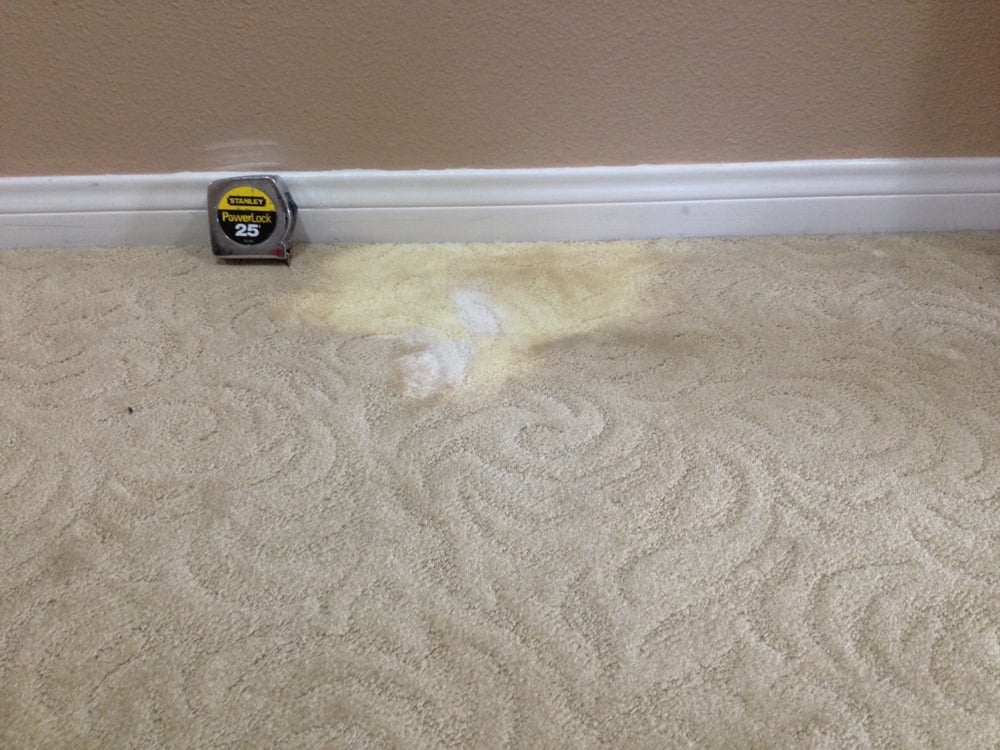 Bleach Spill On Patterned Carpet Before Yelp Photo Of The Carpet Repairman Lakeside Ca United States Bleach Spill On
