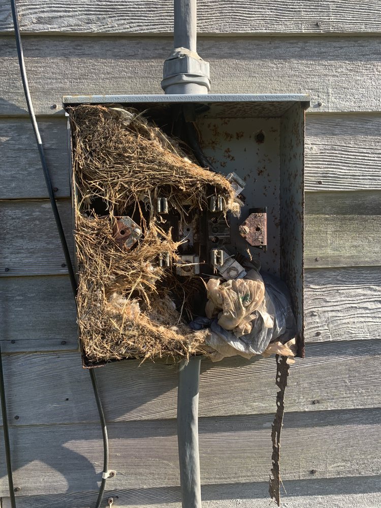Eastern Electrical Contractors