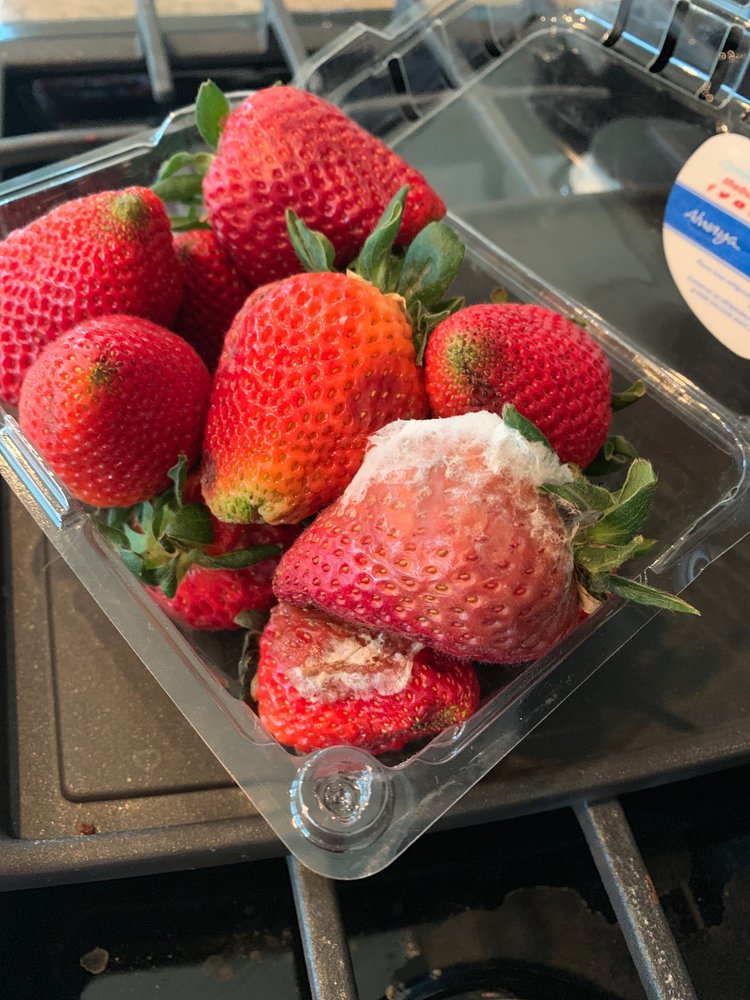Publix Super Markets