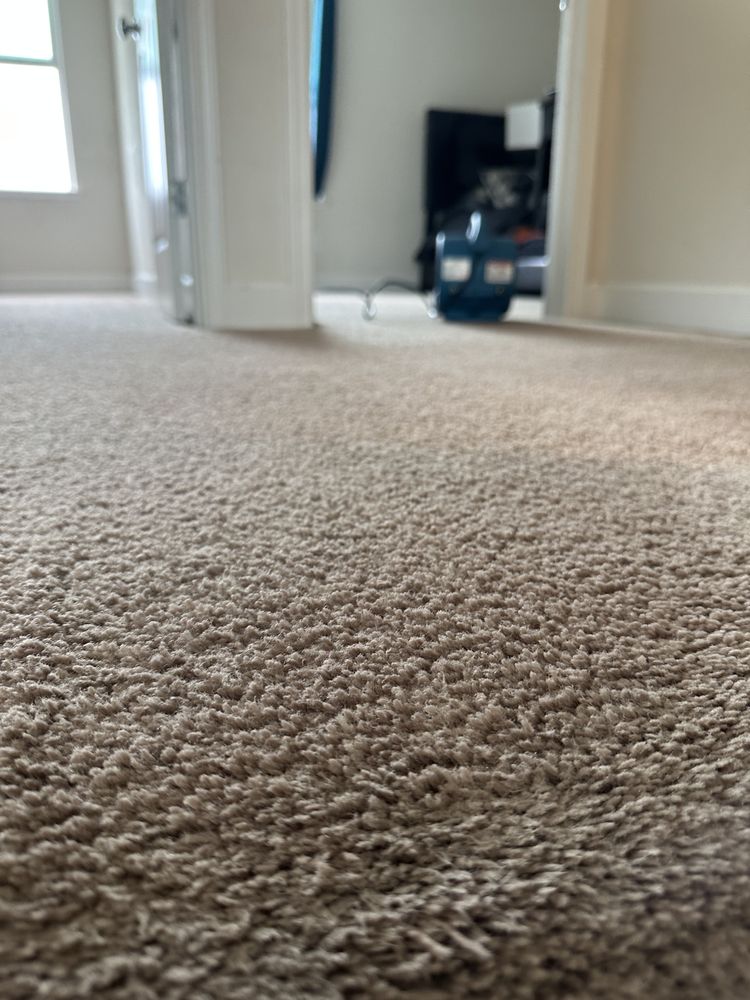 Manuel And Sons Carpet Cleaning