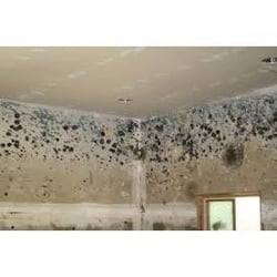 Moisture Mold Detection Home Inspectors Mission Viejo Ca Photo Of Moisture Mold Detection Mission Viejo Ca United States