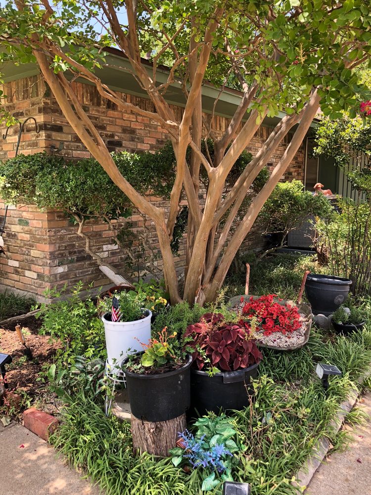image of business Gutierrez Property Maintenance