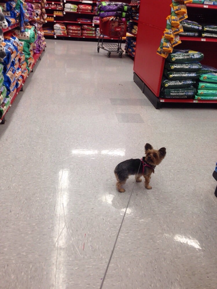 Petco 10 Reviews Pet Stores 4220 South Arizona Ave, Chandler, AZ