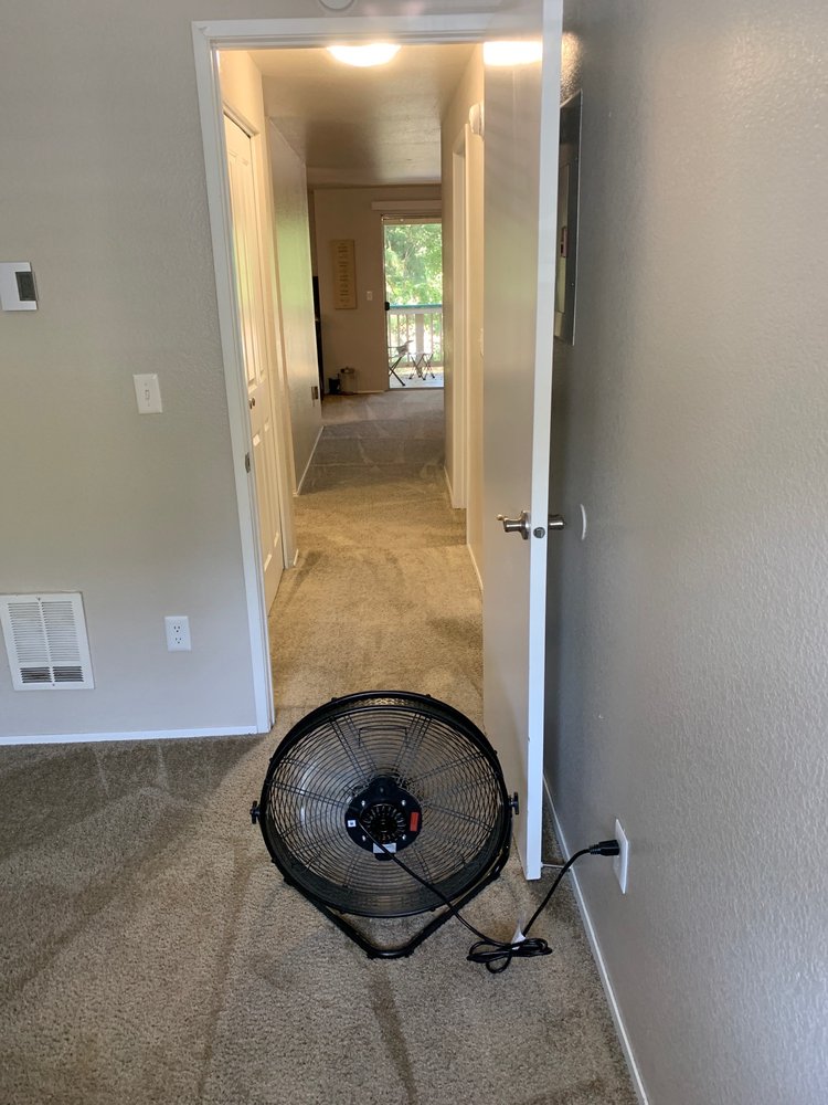 Candido's Carpet Cleaning