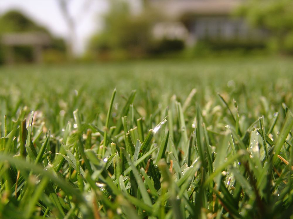 Irrigation Solutions