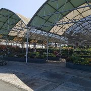 Mid City Nursery 72 Photos 90 Reviews Nurseries Gardening It S Like Photo Of Mid City Nursery American Canyon Ca United States Huge