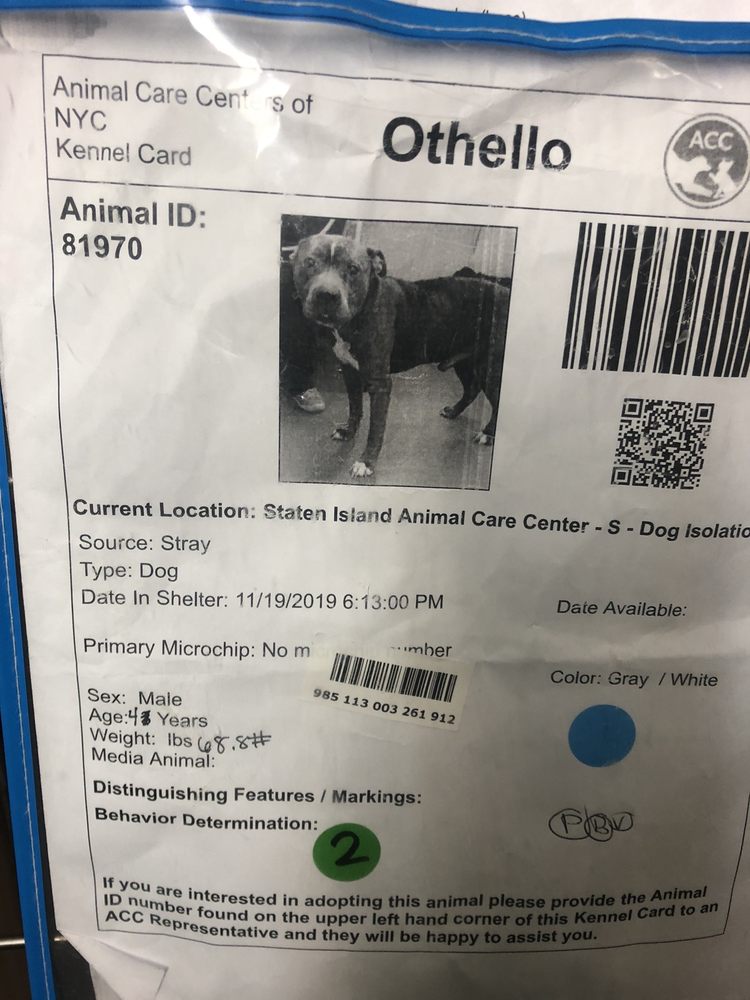 Animal Care Centers of NYC