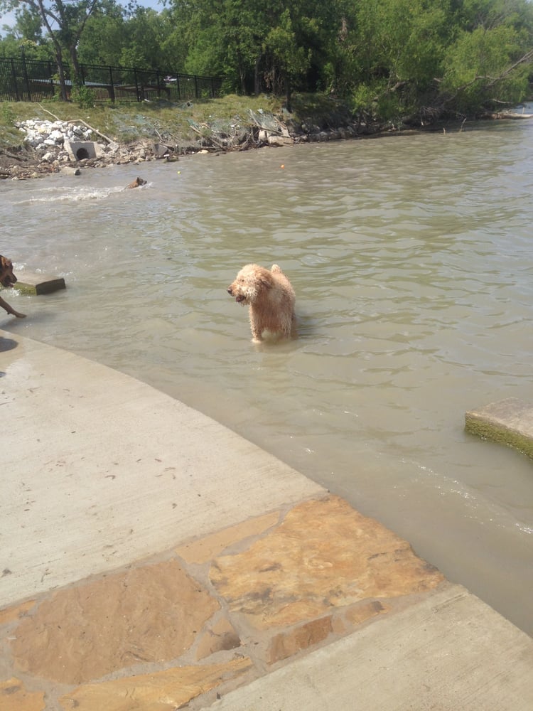 White Rock Lake Dog Park Reviews White Rock Lake Dog Park Reviews