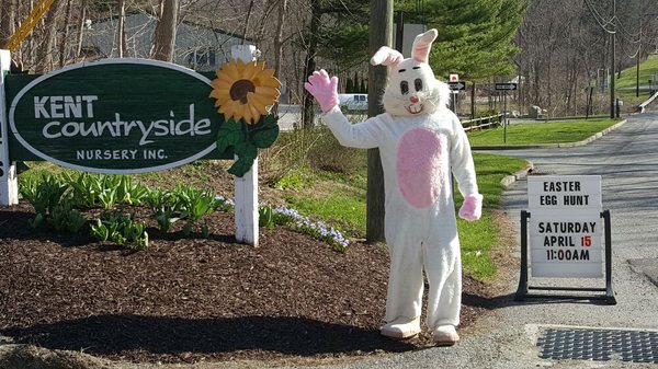 Kent Countryside Nursery 61 Ludington Ct Carmel Ny Nurseries Mapquest