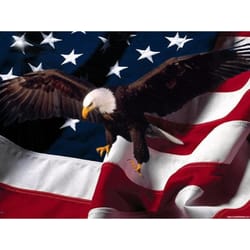 Auto Paint Shop Near Me >> Patriot Body Shop - Body Shops - 9400 Carnegie St, El Paso ... Auto Paint Shop Near Me >> Patriot Body Shop - Body Shops - 9400 Carnegie St, El Paso ...