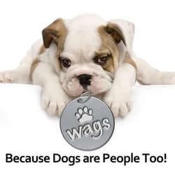 Photo of Wags Wash and Groom Spa - Lancaster, PA, United States ...