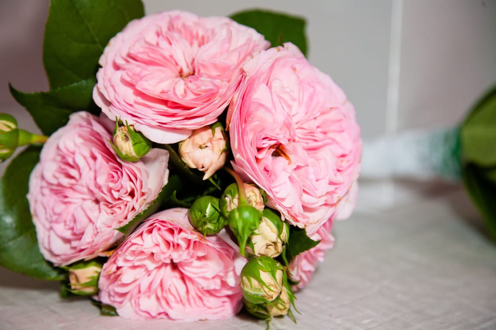 Madison Flower Shop & Garden Center 11 Photos & 15 Reviews Florists