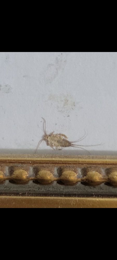 Surestay Hotel By Best Western Morganton