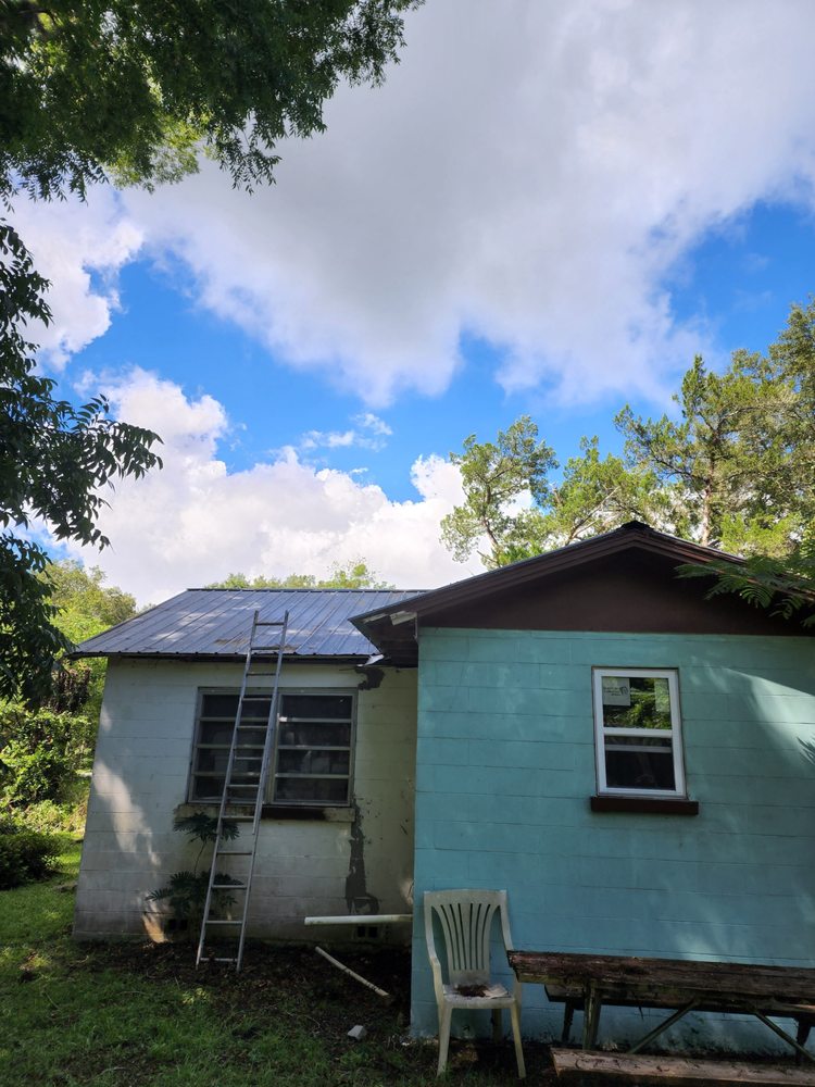 Northeast Florida Tree Surgeons