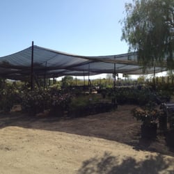 Southwest Whole Nursery Closed Gardening Centres Southwest Whole Nursery Closed Gardening Centres