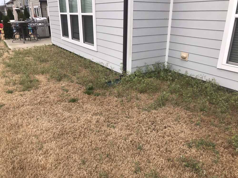 Killingsworth Environmental