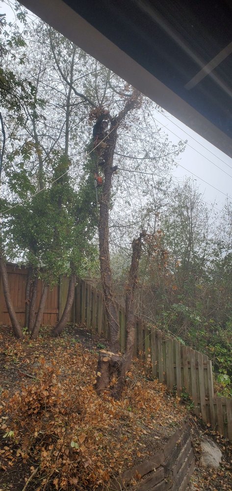 Tree Recycler Jim Cron