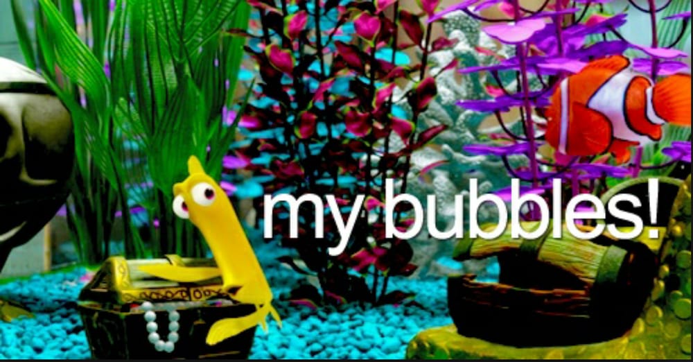 Bubble Island 15 Photos & 62 Reviews Coffee & Tea 515 E Grand River Ave, East Lansing, MI