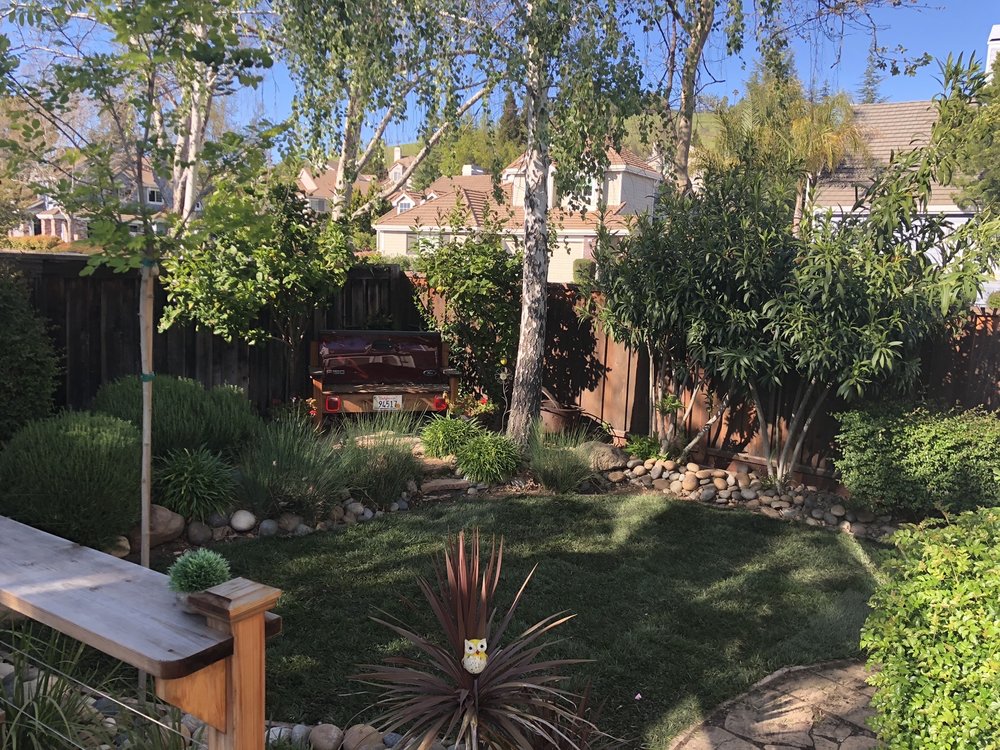 Dirty Deeds Lawn Maintenance