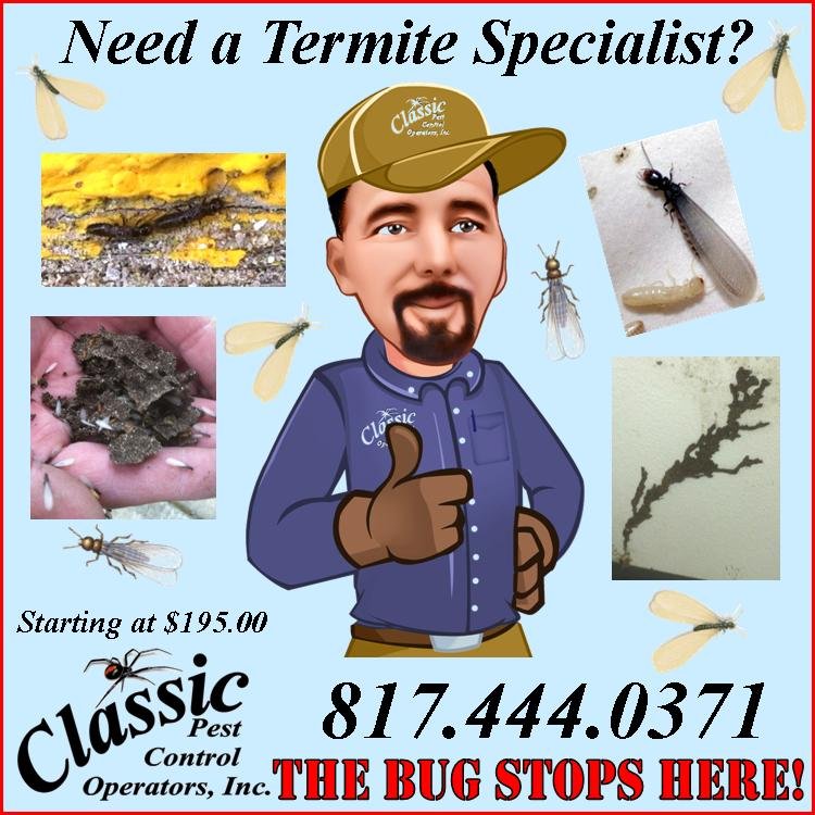 Classic Pest Control Operators