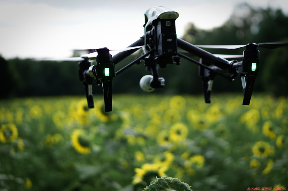 Camerabots Media