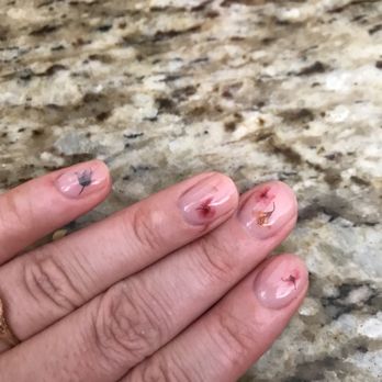 Acronychous Modern Nail Designs 68 Photos 11 Reviews Photo Of Acronychous Modern Nail Designs Denver Co United States Wedding Nails