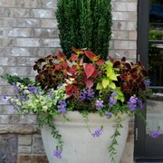 Habersham Gardens Landscape Services Landscaping 1134 Dalon Rd Photo Of Habersham Gardens Landscape Services Atlanta Ga United States