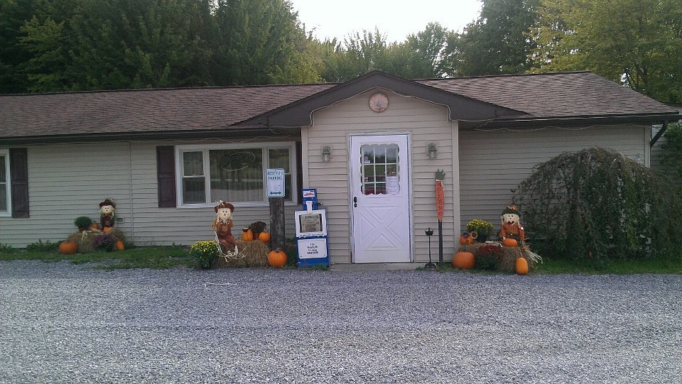 Forest View Restaurant American (Traditional) 2565 Highway 6