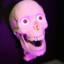 Photo Of Halloween Skulls Hartford Vt United States Photo Of Halloween Skulls Hartford Vt United States