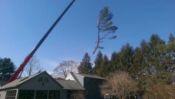 Community Tree Service 163 Billerica Rd Chelmsford Ma Unknown Community Tree Service 163 Billerica Rd Chelmsford Ma Unknown Mapquest