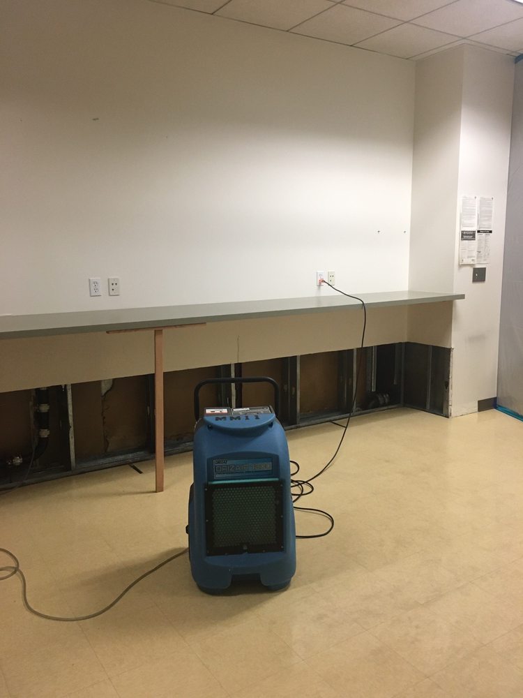 Mold Masters - Glendale