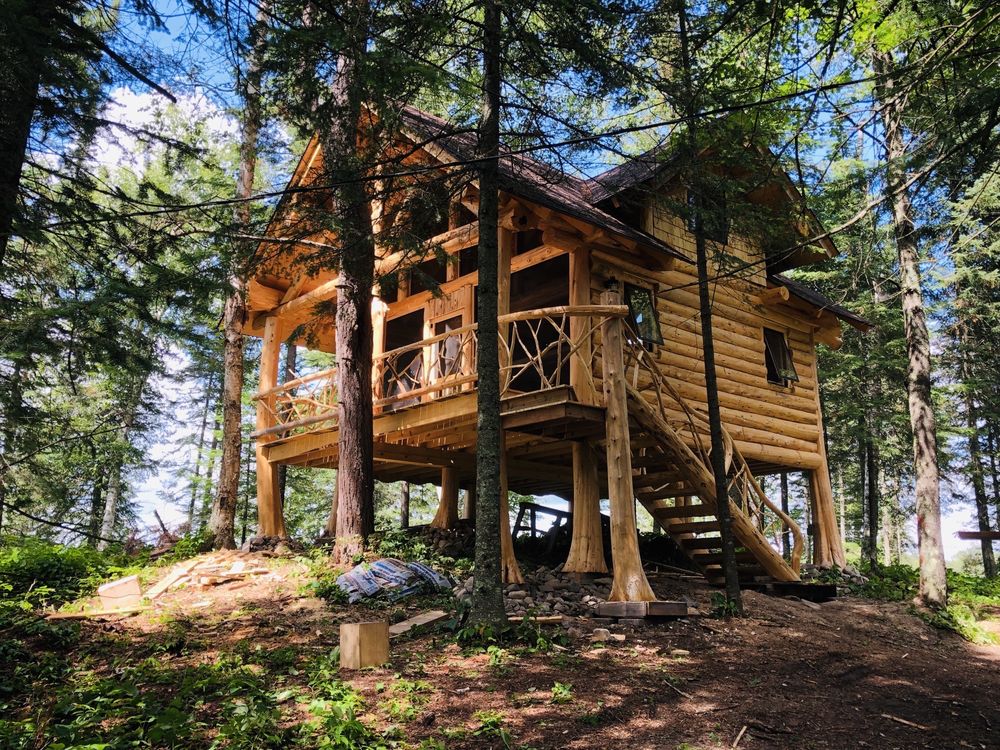 image of business B&D Homes