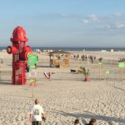 wildwood dog beach 87 photos 20 reviews dog parks e glenwood
