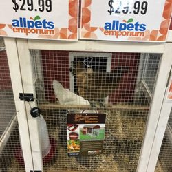 allpets emporium coupons