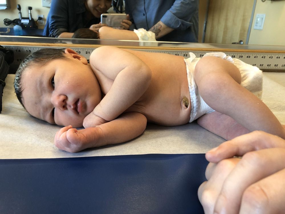 image of business Boulevard Pediatrics