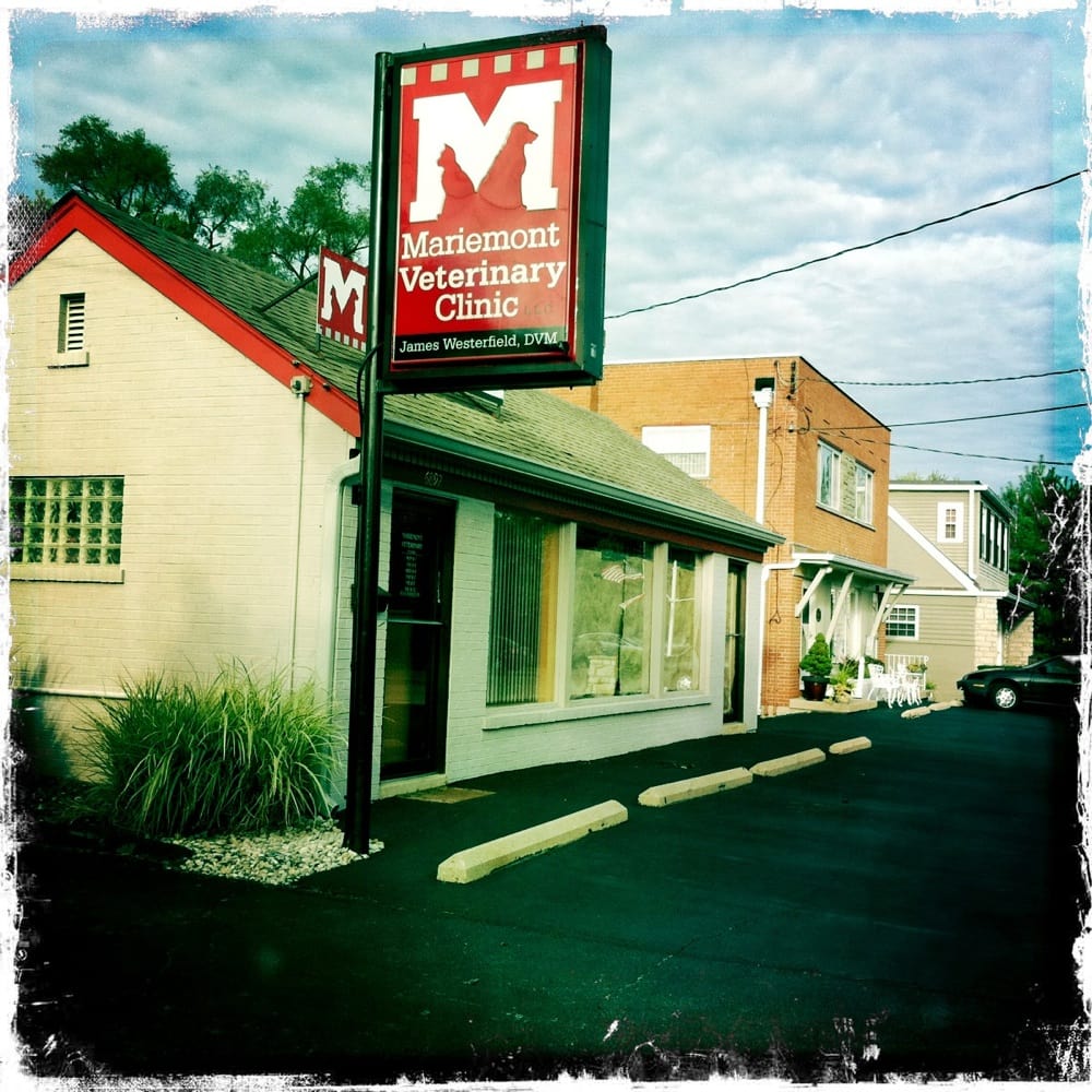 Mariemont Veterinary Clinic Veterinarians 6892 Murray Ave