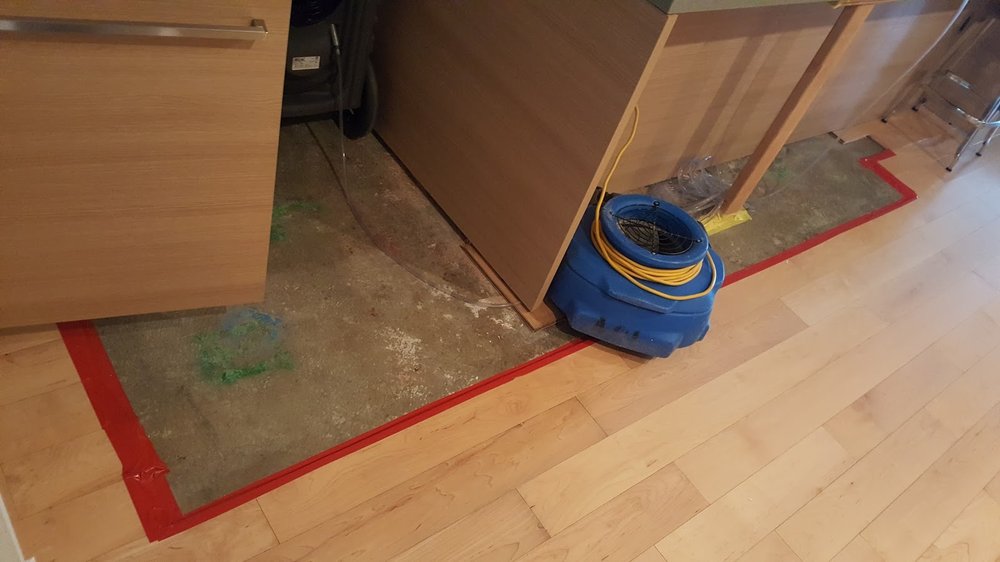 image of business Carpets Direct