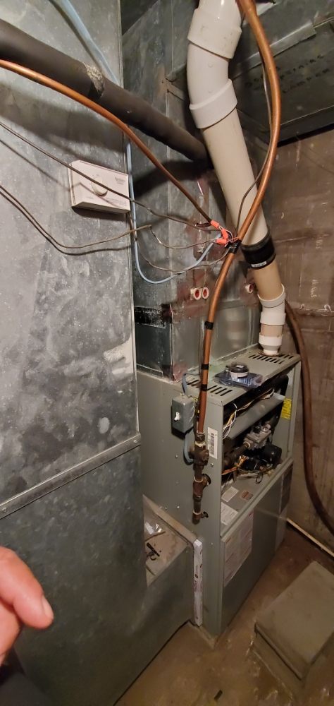 image of business Alan