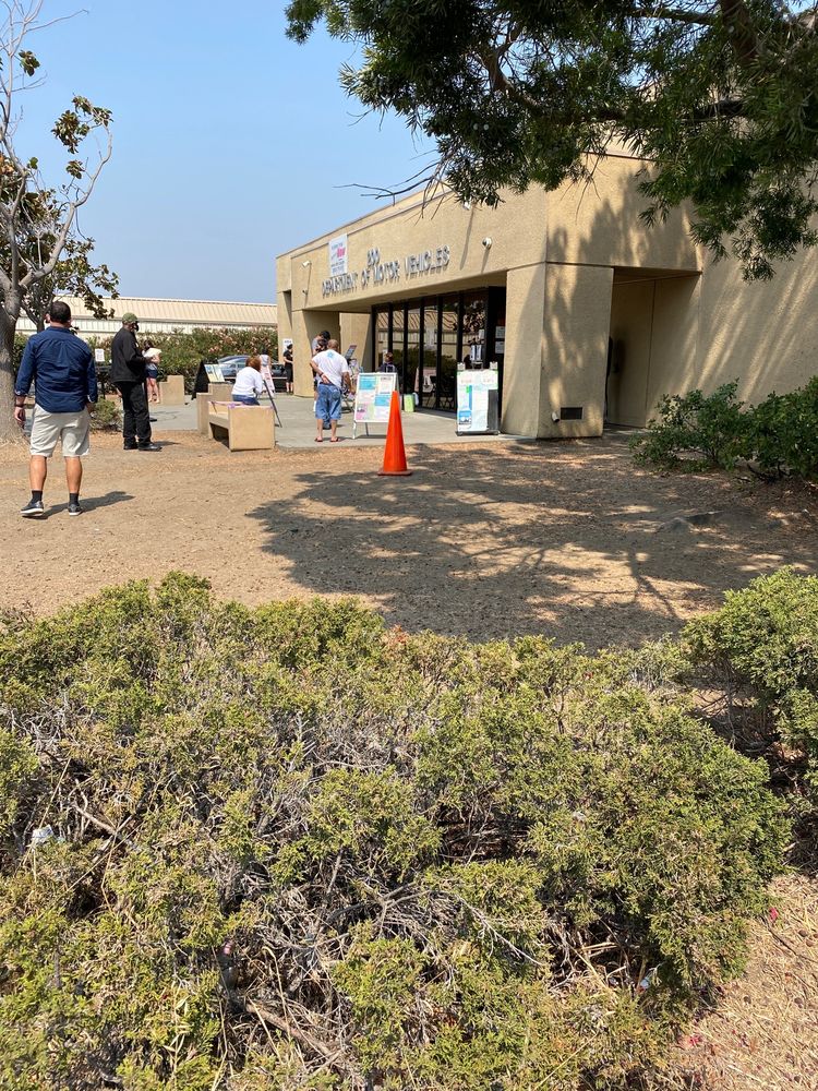 Department of Motor Vehicles