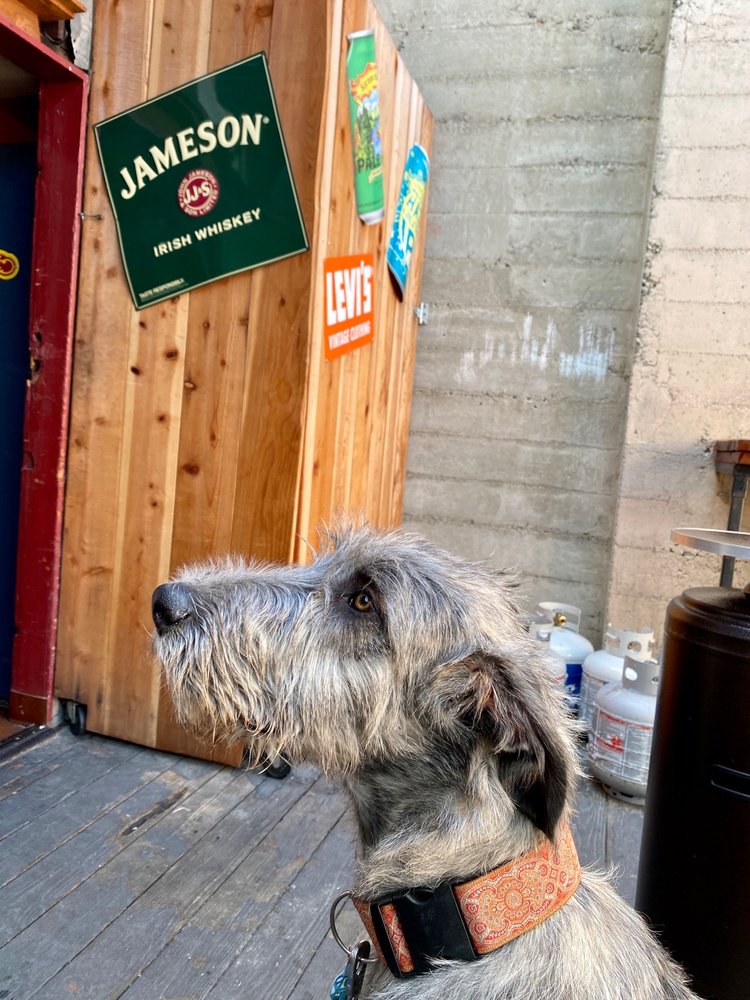 Whiskey Lane