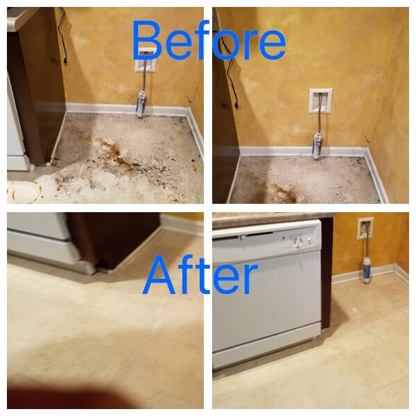 A Vibrant Cleaning Solution