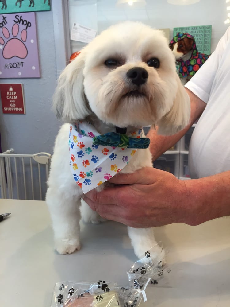 Fuzzy & Furries Petstore 15 Reviews Pet Groomers 6297 Central Ave