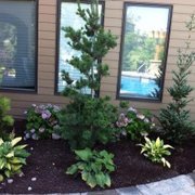 Omaha Landscaping Company 105 S 9th St Downtown 99th Landscaping Photo Of Omaha Company Ne United States Silver Leaf