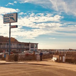 Dolphin Cove Motel 66 Photos 77 Reviews Hotels 170 Main St Photo Of Dolphin Cove Motel Pismo Beach Ca United States