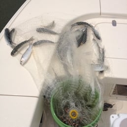 Photos for Live Oac Outdoor Adventure Company - Yelp