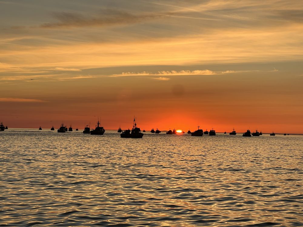 Bear Fox Fisheries