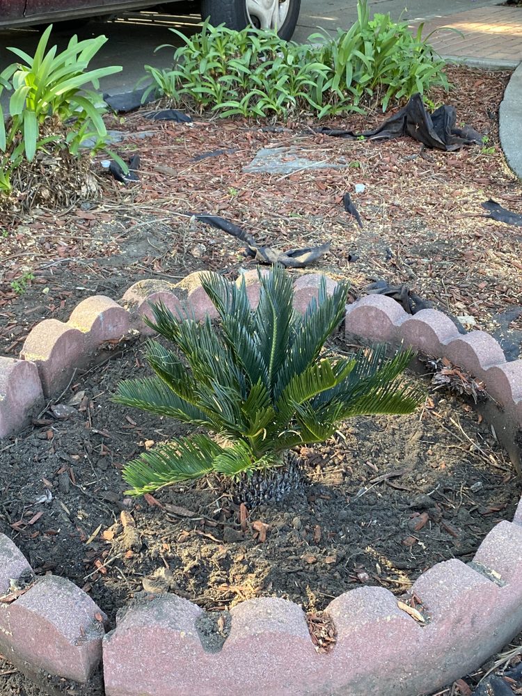 Vo Gardening