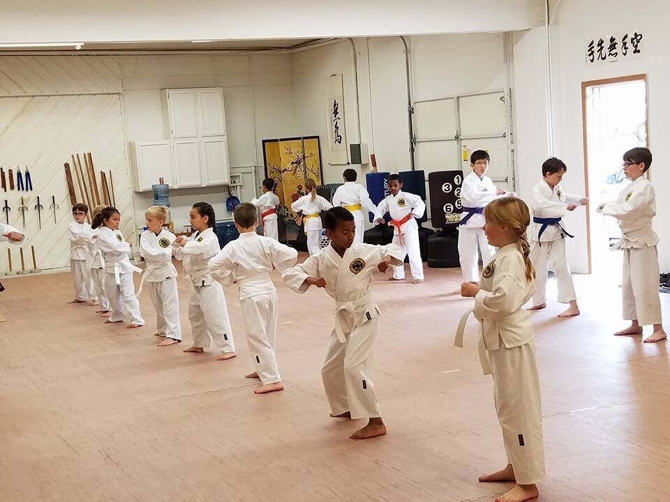 Seibukan Karatedo